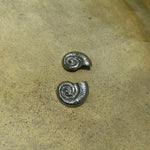 Silver Caracol Earrings